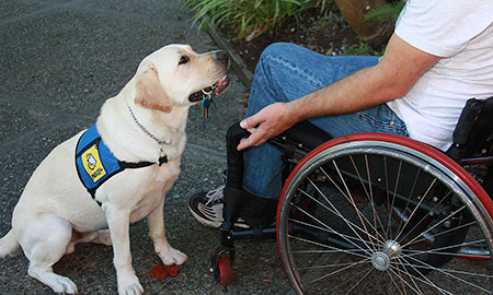 Pacific Assistance Dogs Society